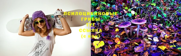 скорость Алзамай