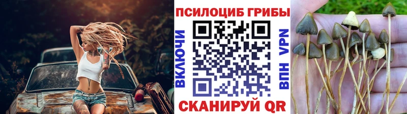 Псилоцибиновые грибы GOLDEN TEACHER  мега ССЫЛКА  Новочеркасск 